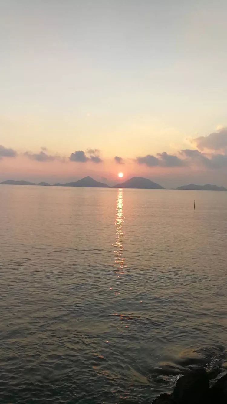 1555293558929549.jpg 微信圖片_20190415093217.jpg